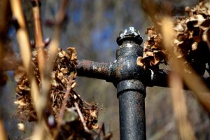 Begraafplaats Ellecom De Steeg